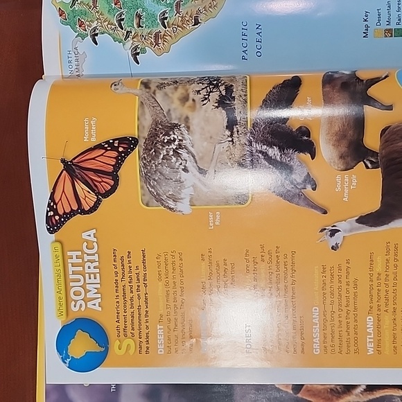 National Geographic Wild Animal Atlas - Picture 8 of 9
